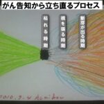 看護学科でがん患者講義してきます