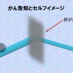 がんサバイバーの逆転の発想